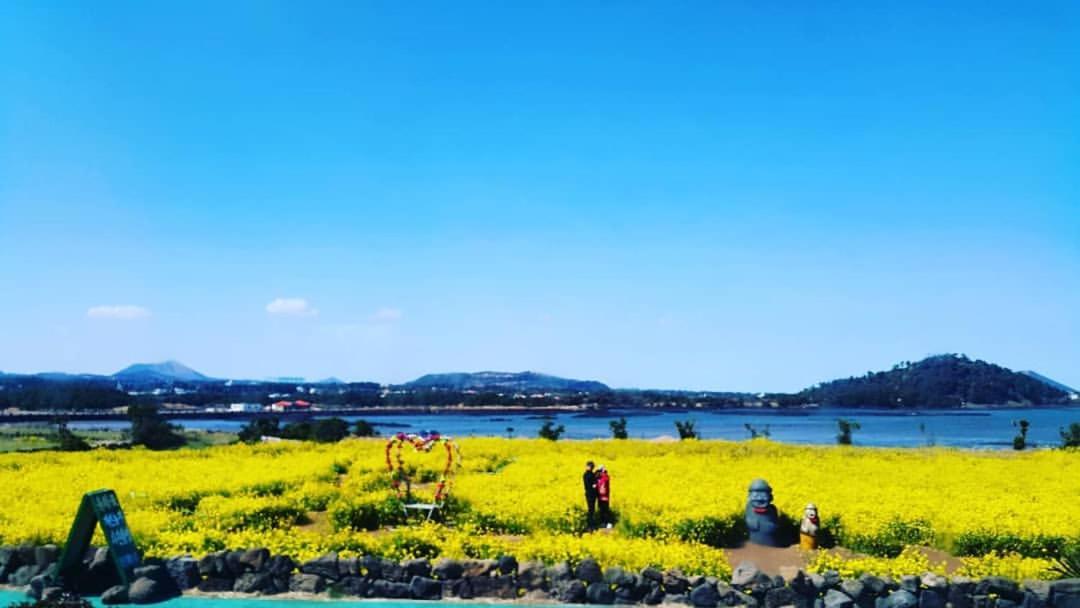 Seongsan Ilchulbong Pension Jeju Buitenkant foto
